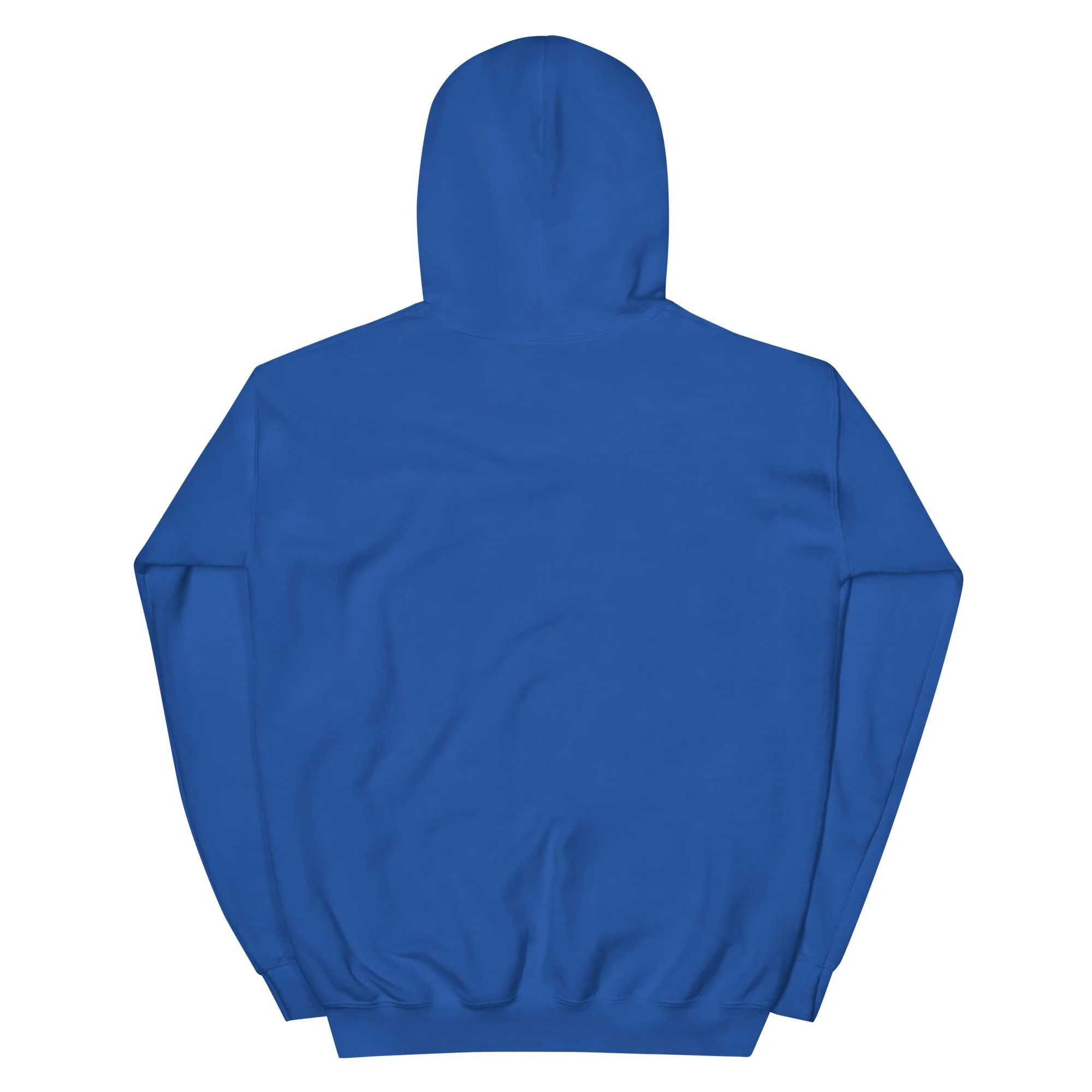 unisex-heavy-blend-hoodie-royal-back-68a934af9ba08.jpg