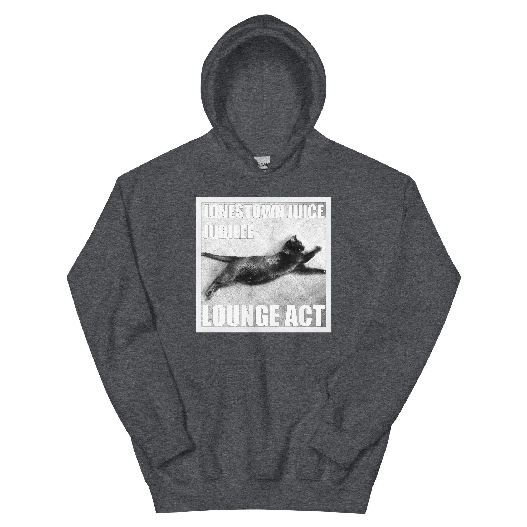 unisex-heavy-blend-hoodie-dark-heather-front-68a93911b3be1.jpg