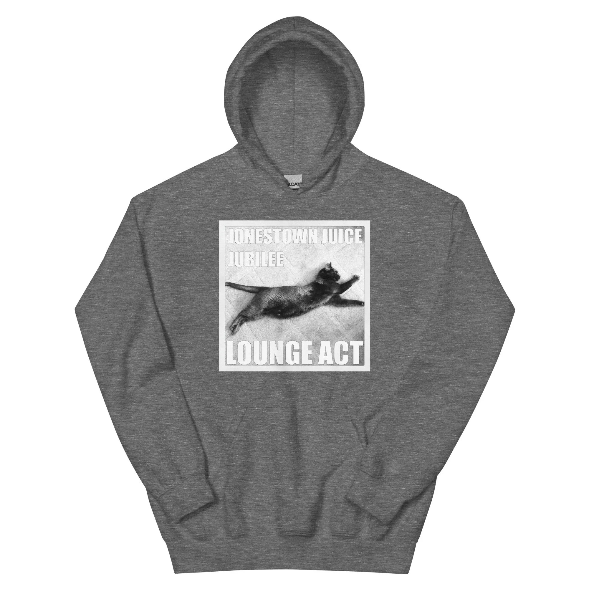 unisex-heavy-blend-hoodie-graphite-heather-front-68a93911b8a74.jpg