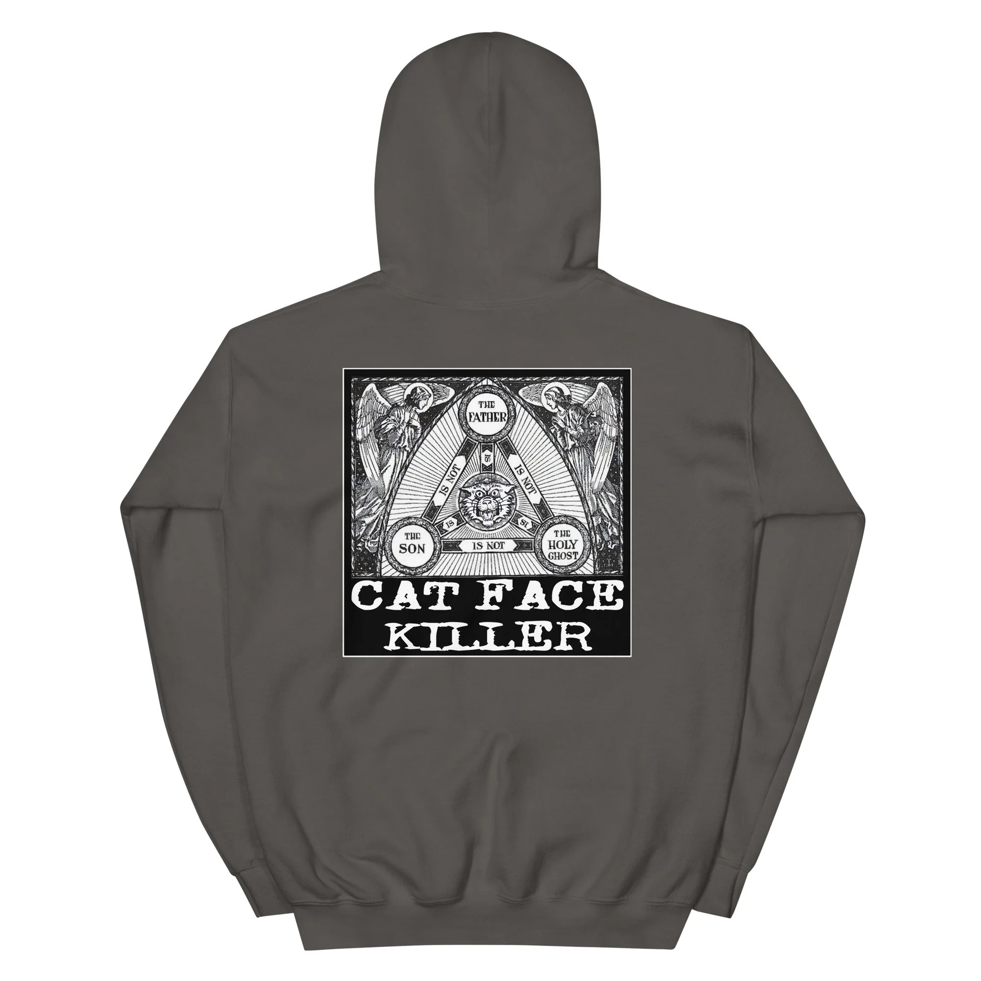 unisex-heavy-blend-hoodie-charcoal-back-68a93a196e79b.jpg