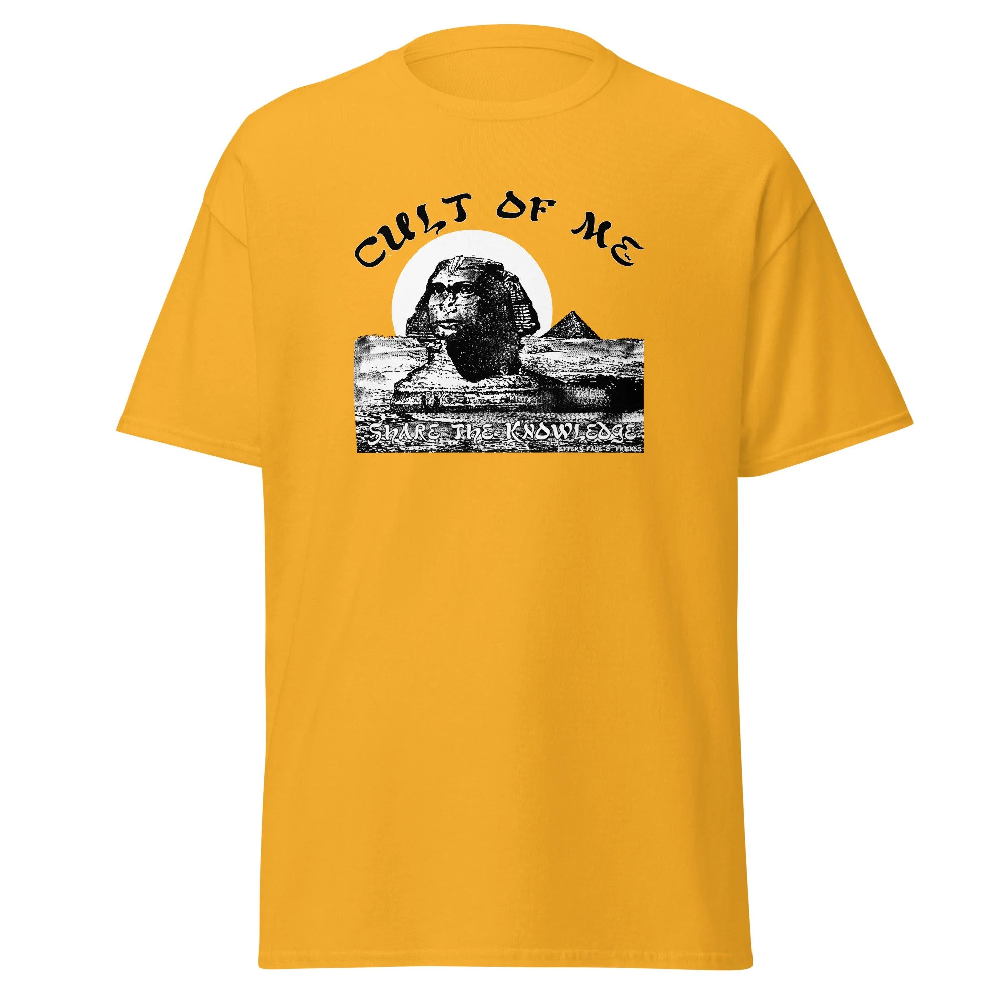 unisex-classic-tee-gold-front-6a0f1dbcc2e4b.jpg
