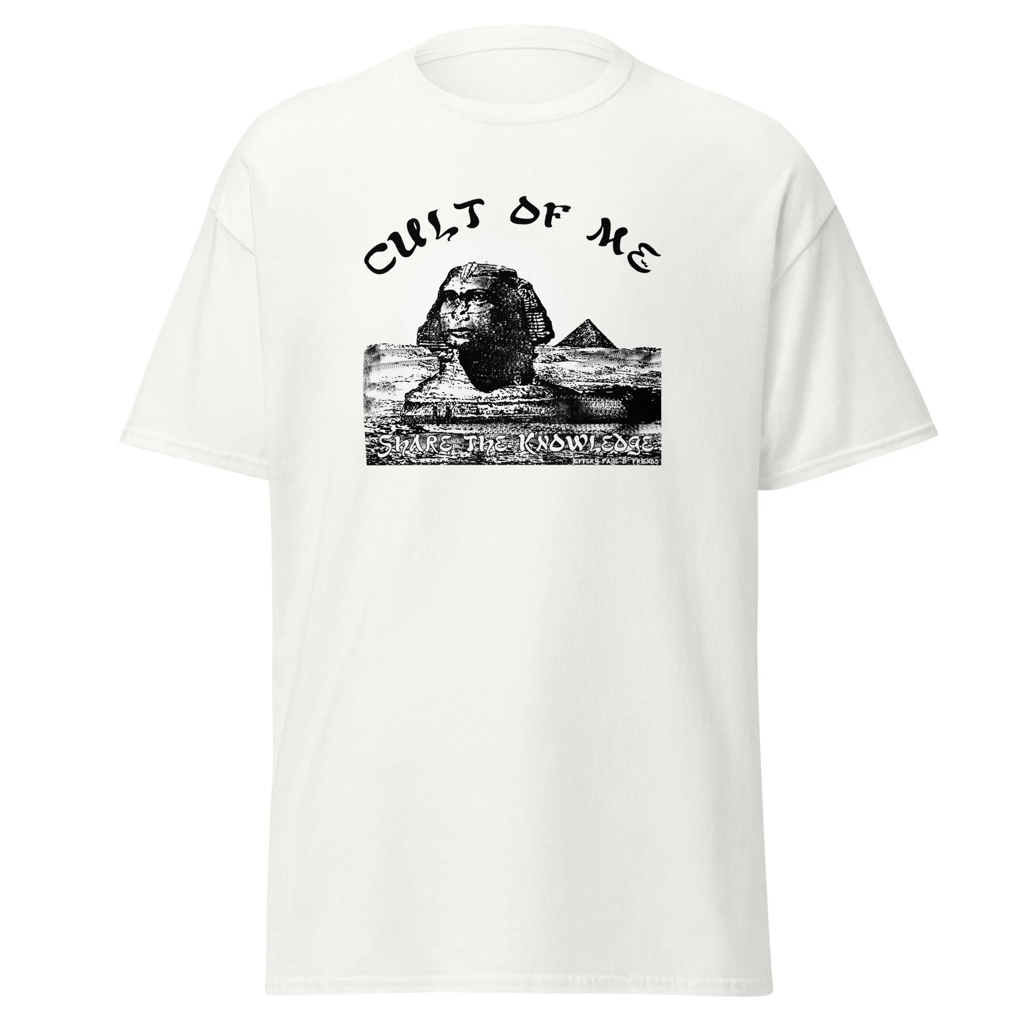 unisex-classic-tee-white-front-6a0f1dbcc3098.jpg