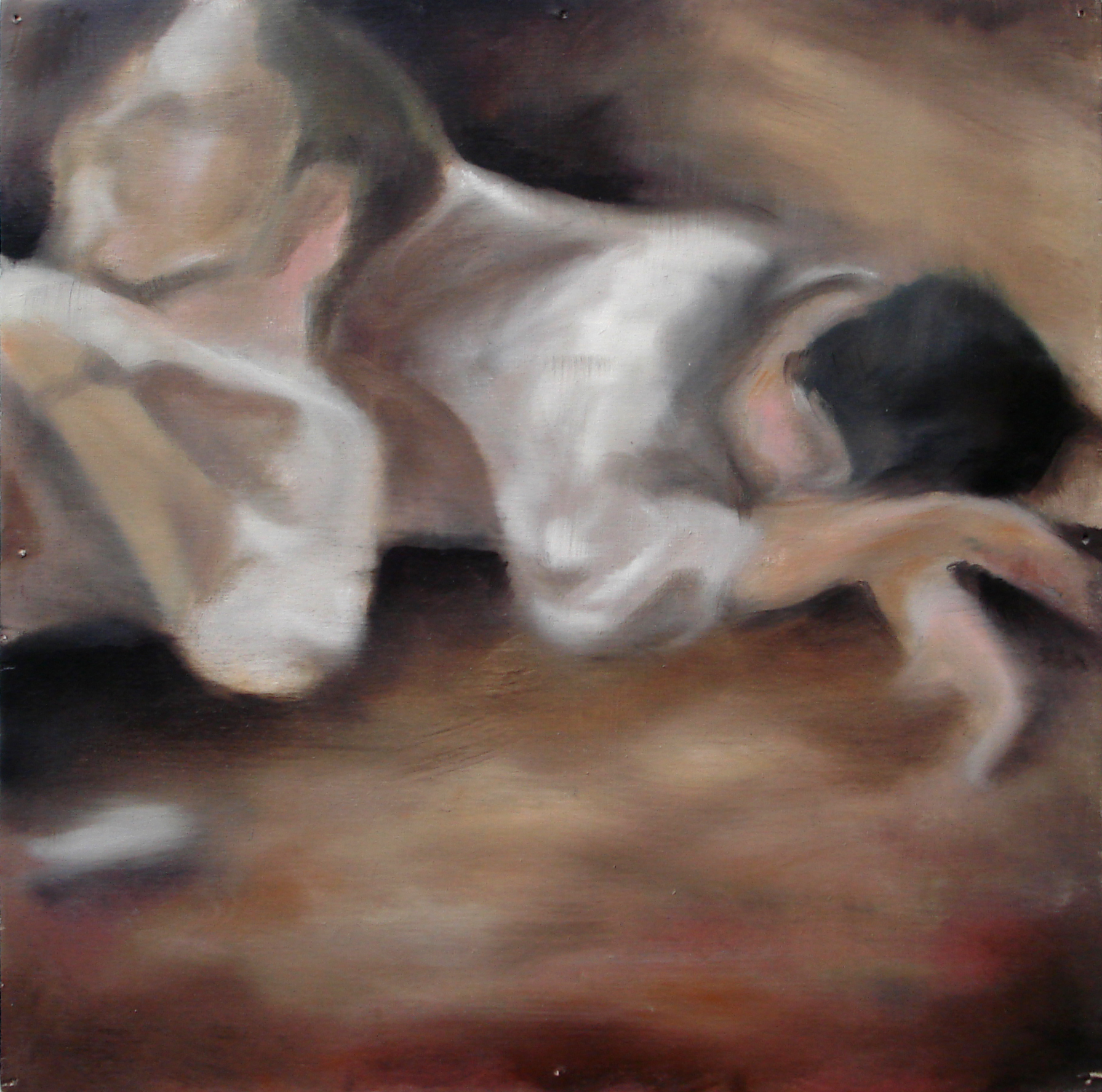  "A Familial Gaze IX"  oil on wood panel  16" x 16"  2010 