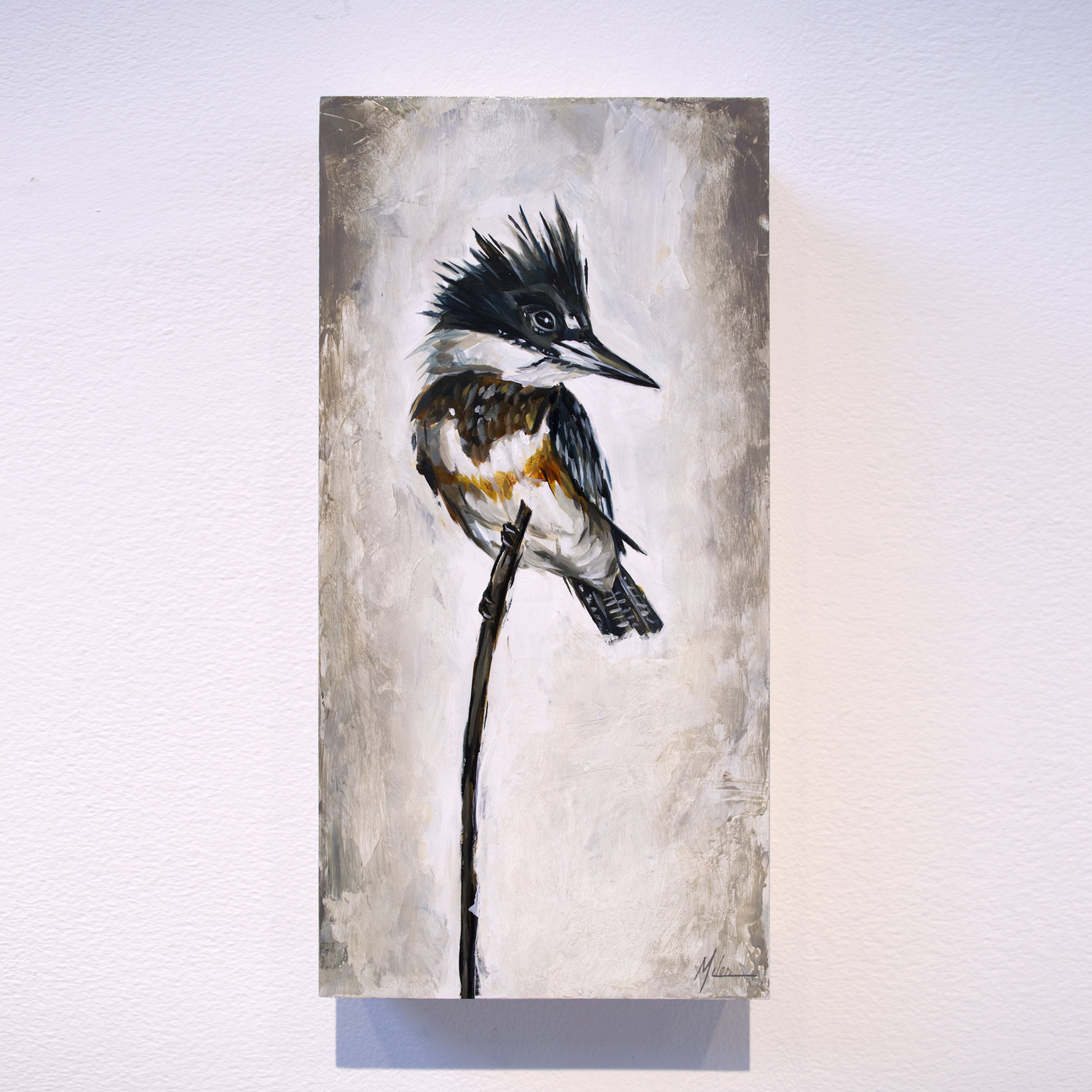   Kingfisher   acrylic on panel  6” x 12” 