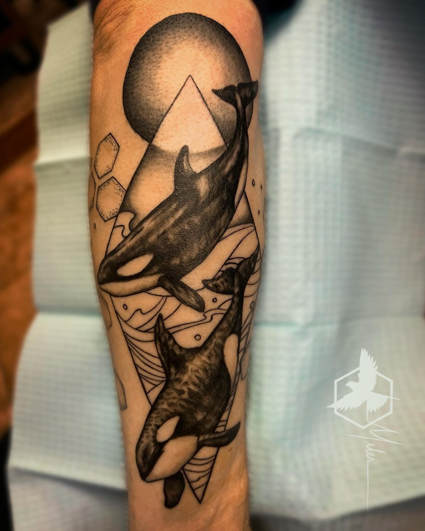 Orcas on the forearm. Thank you Michael!