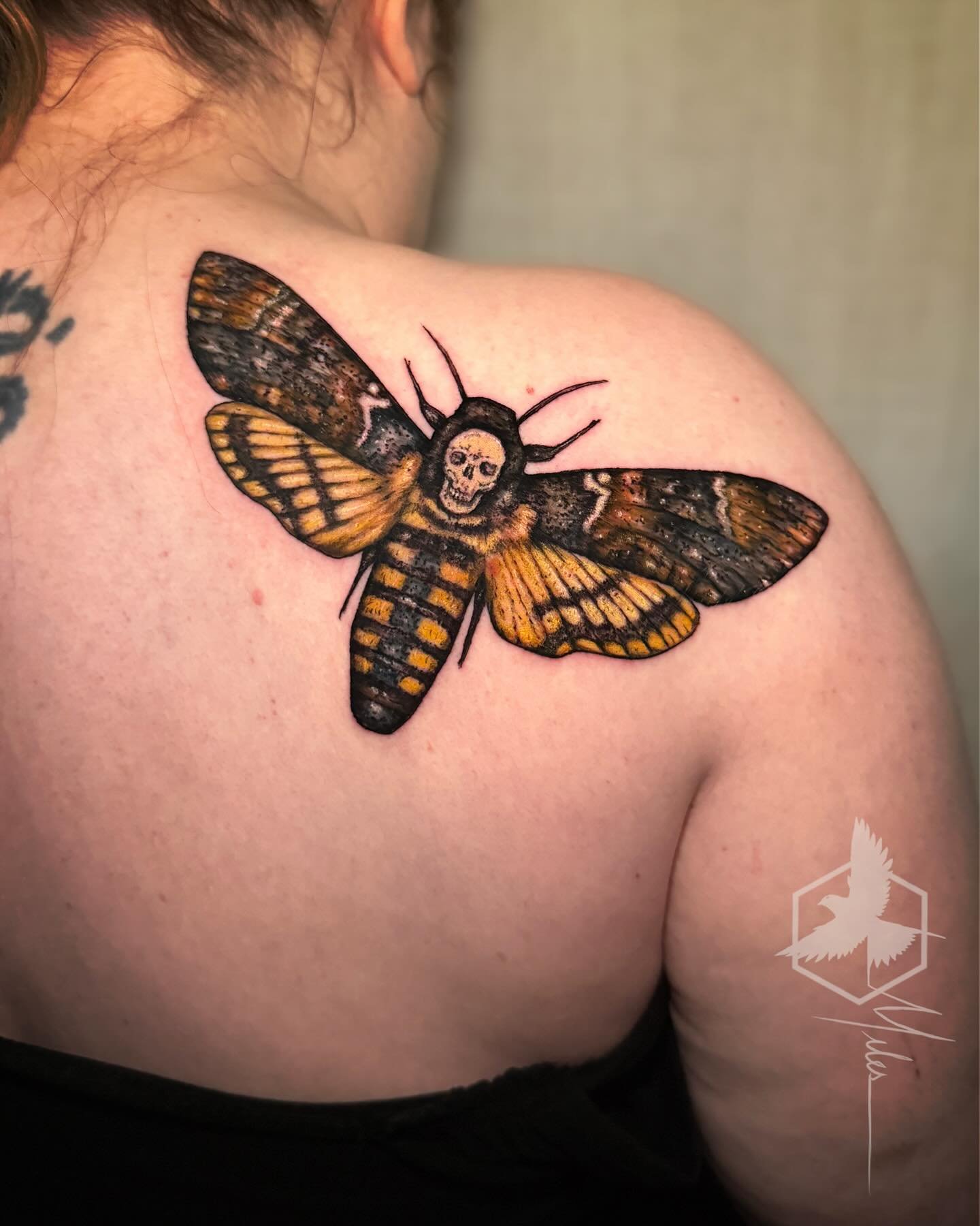 A death&rsquo;s-head hawkmoth for Rosemary