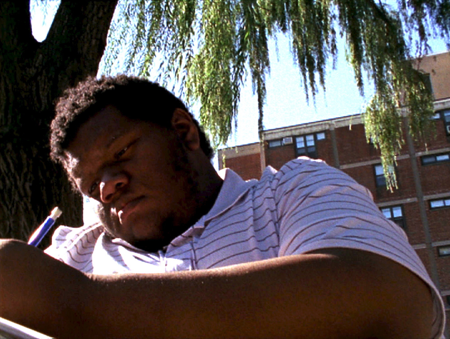 BIG WILLOW (2013)