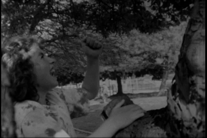 GIRL CLIMBING TREES (2006)