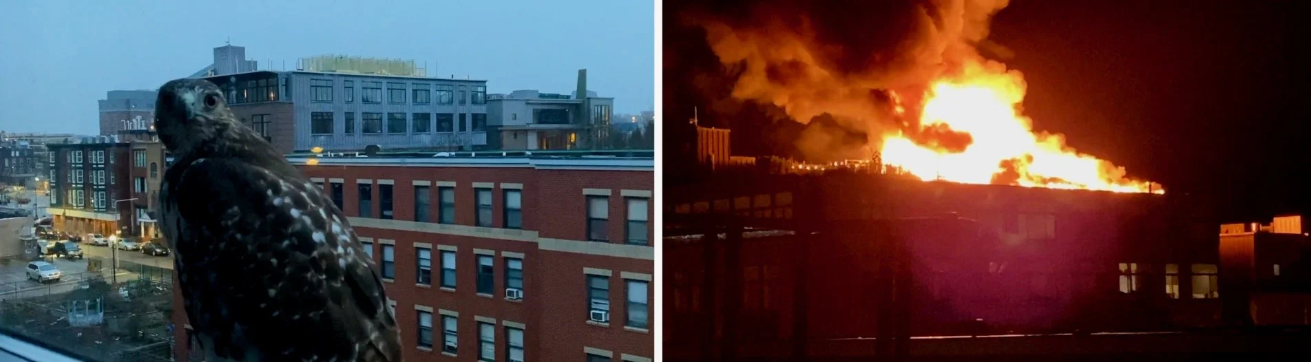 One Window, One Day_01.jpeg