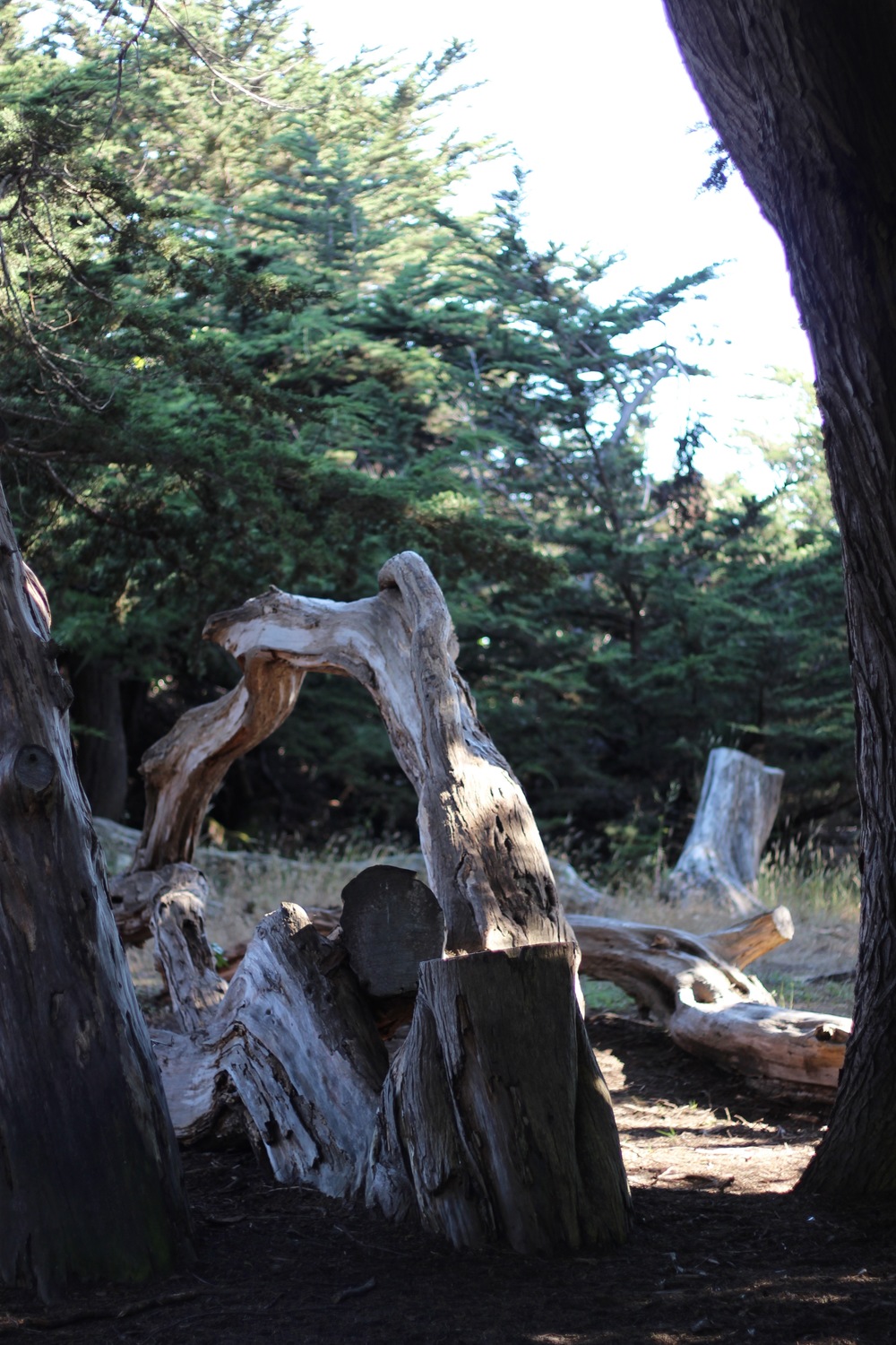 Travel Spotlight: Mendocino, CA (withmichellekim.com)