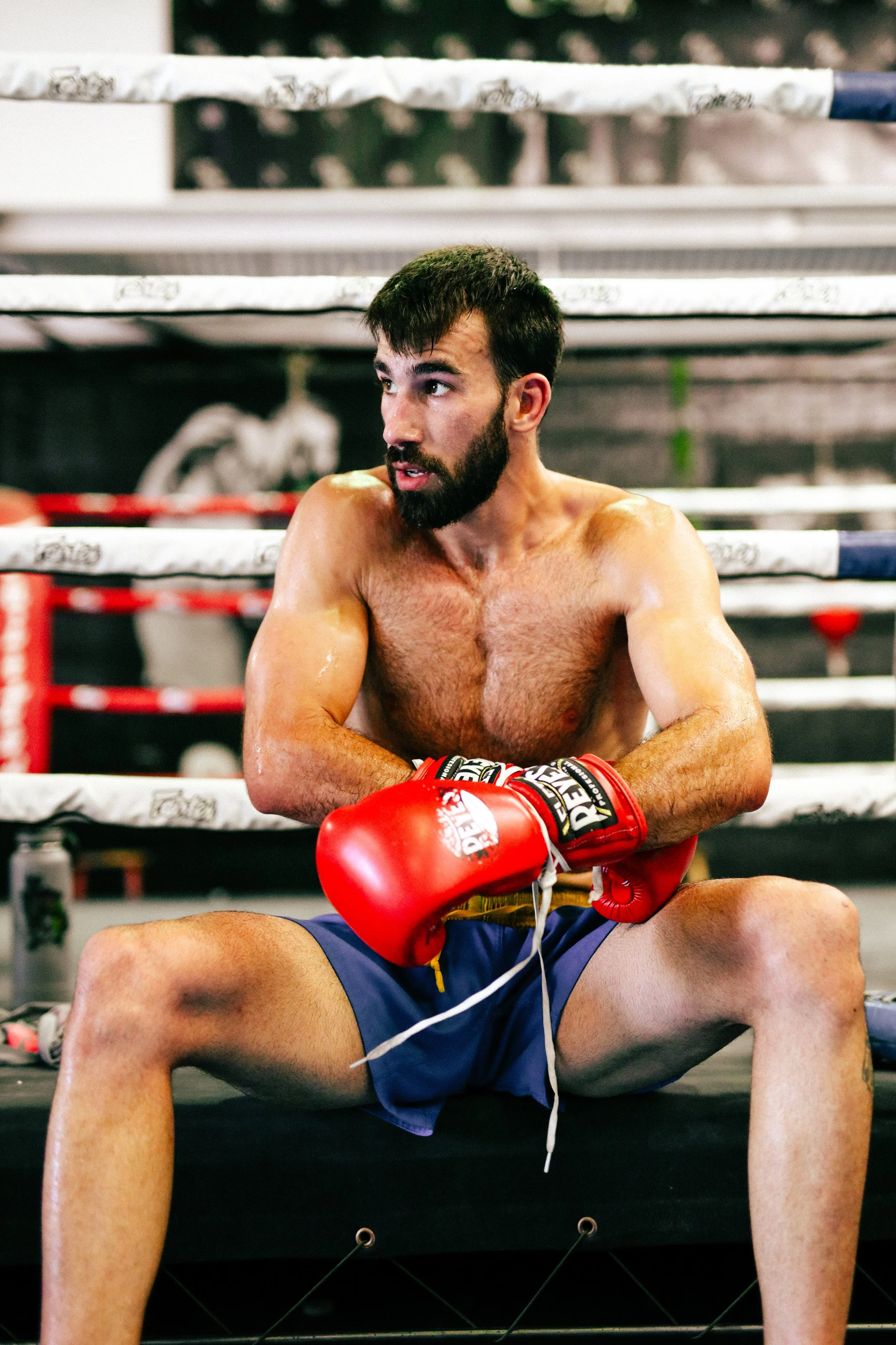 mma fighter portrait