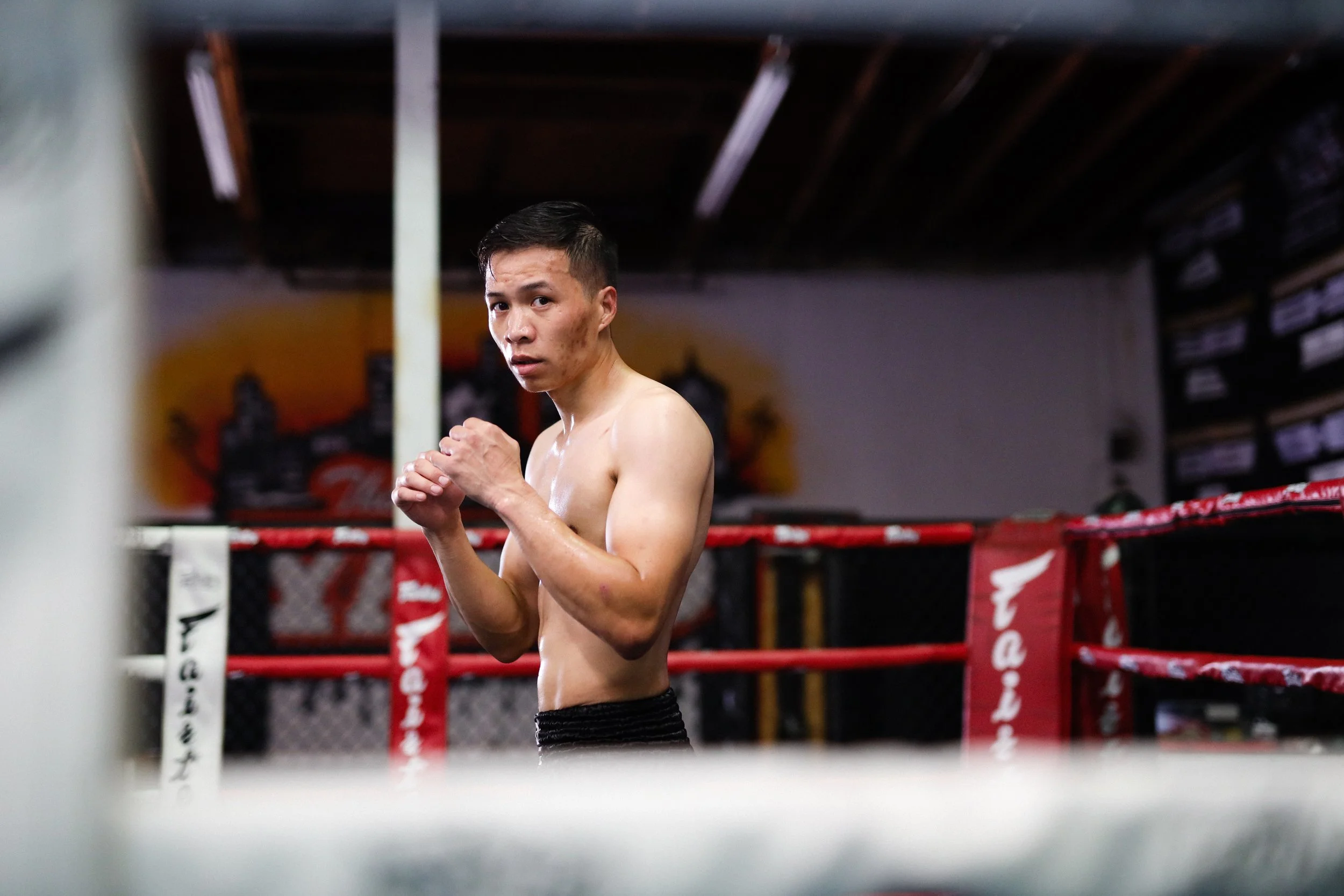 mma fighter portrait