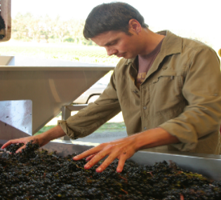 Portland Wine Bar & Winery Tasting Room