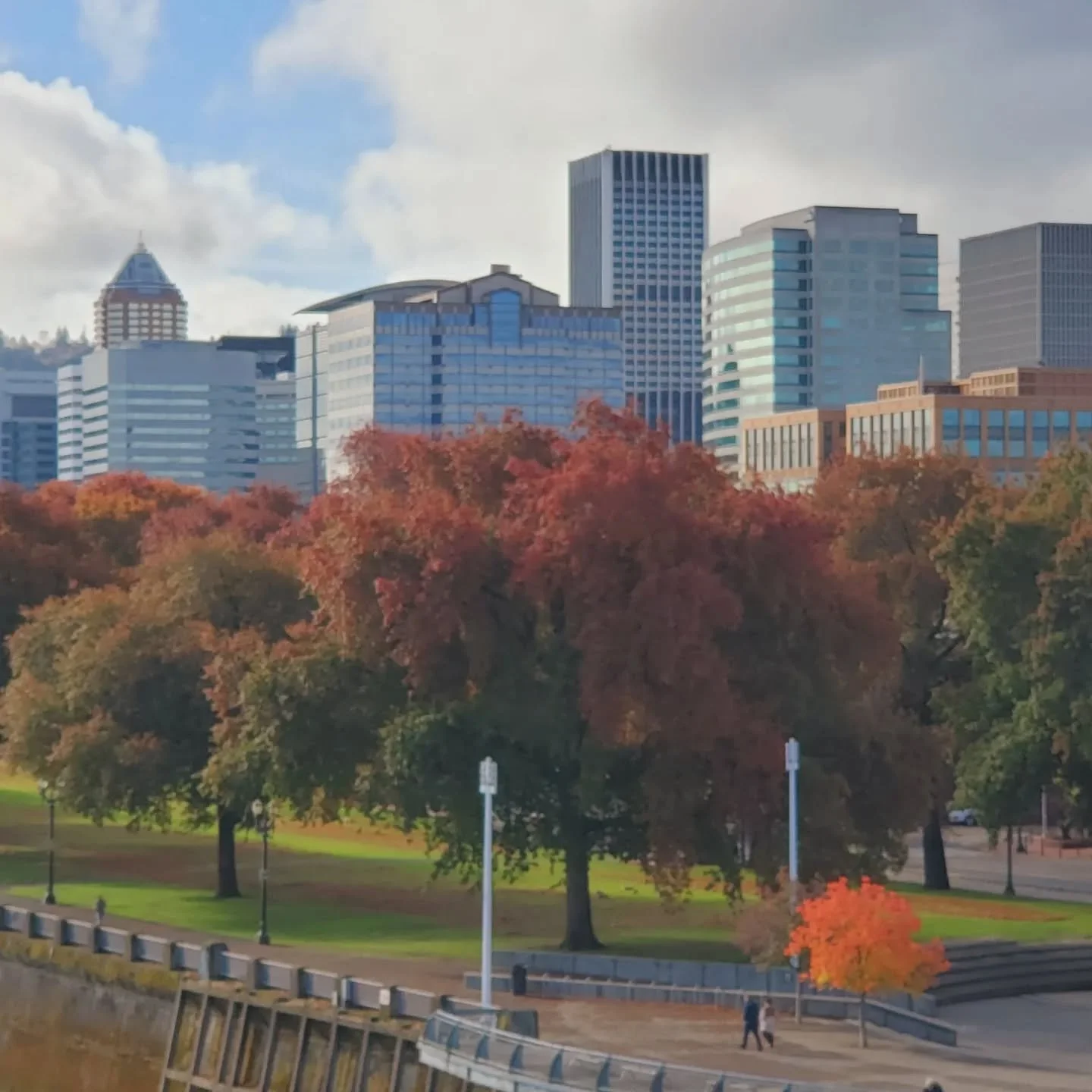 We live in a beautiful city! ❤️ PDX