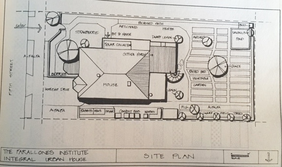 Site plan showing maximization of space and alternative solutions to site design. 