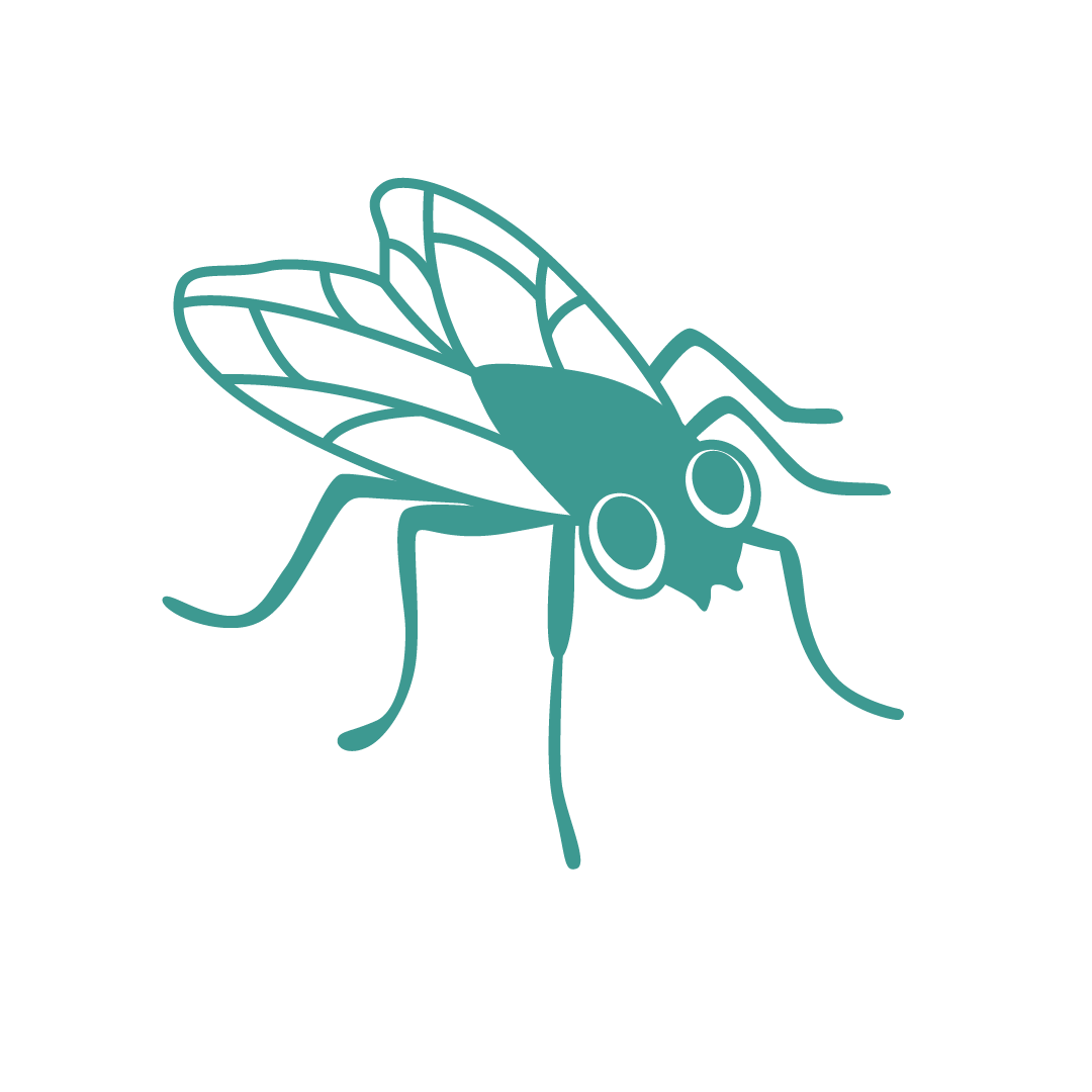 91̽��_Fly.png