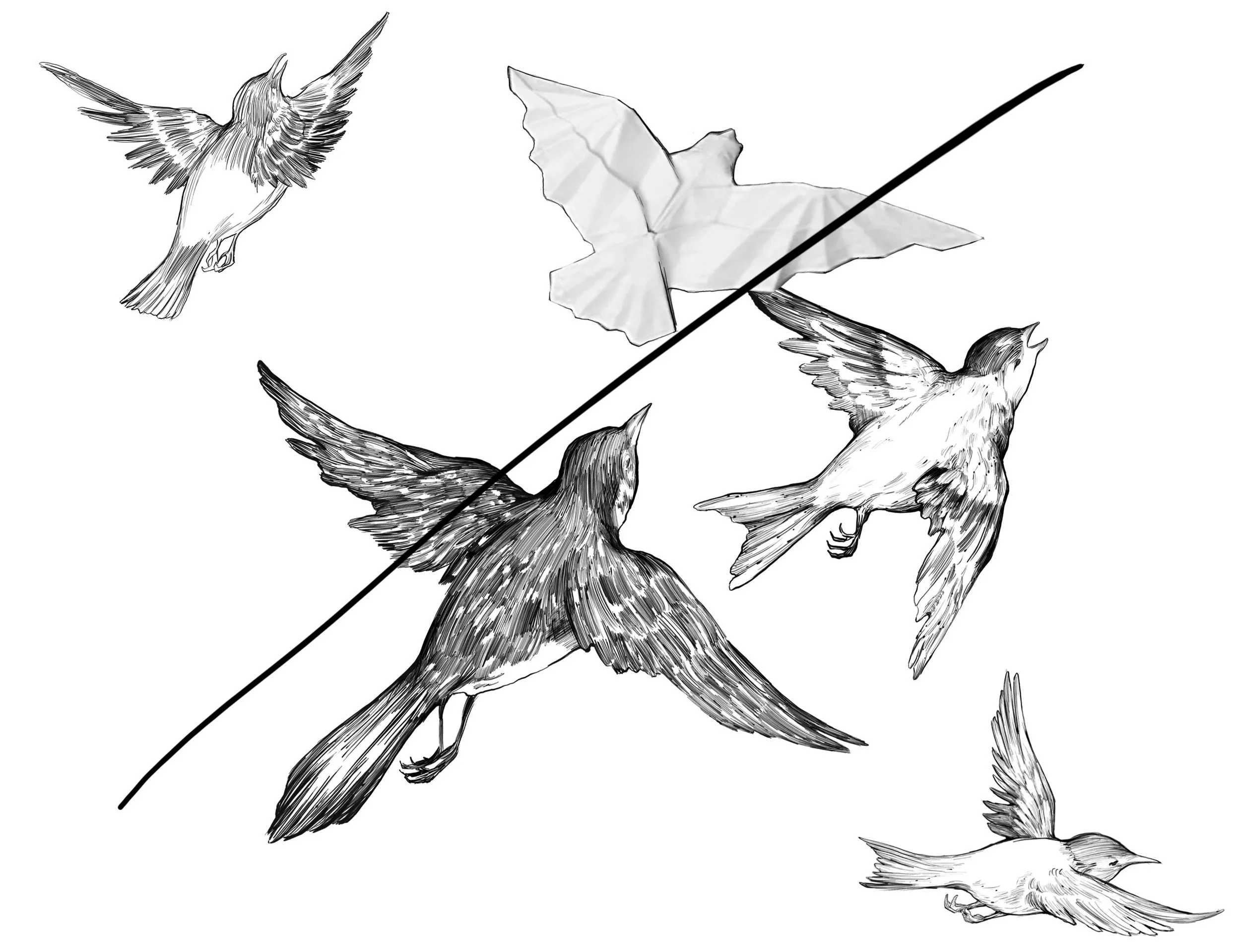image-asset.jpg