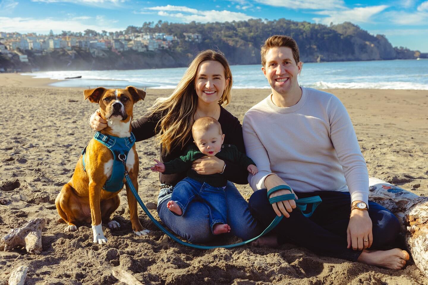 Family photos with dogs are my absolutely favorite.

#elketeichmannphoto #elketeichmannphotography 
#photographer&nbsp;#photography&nbsp;#bayareaphotographer&nbsp;#femalephotographer&nbsp;#photo #baby #babies #dog #babyphotography #family #familyport