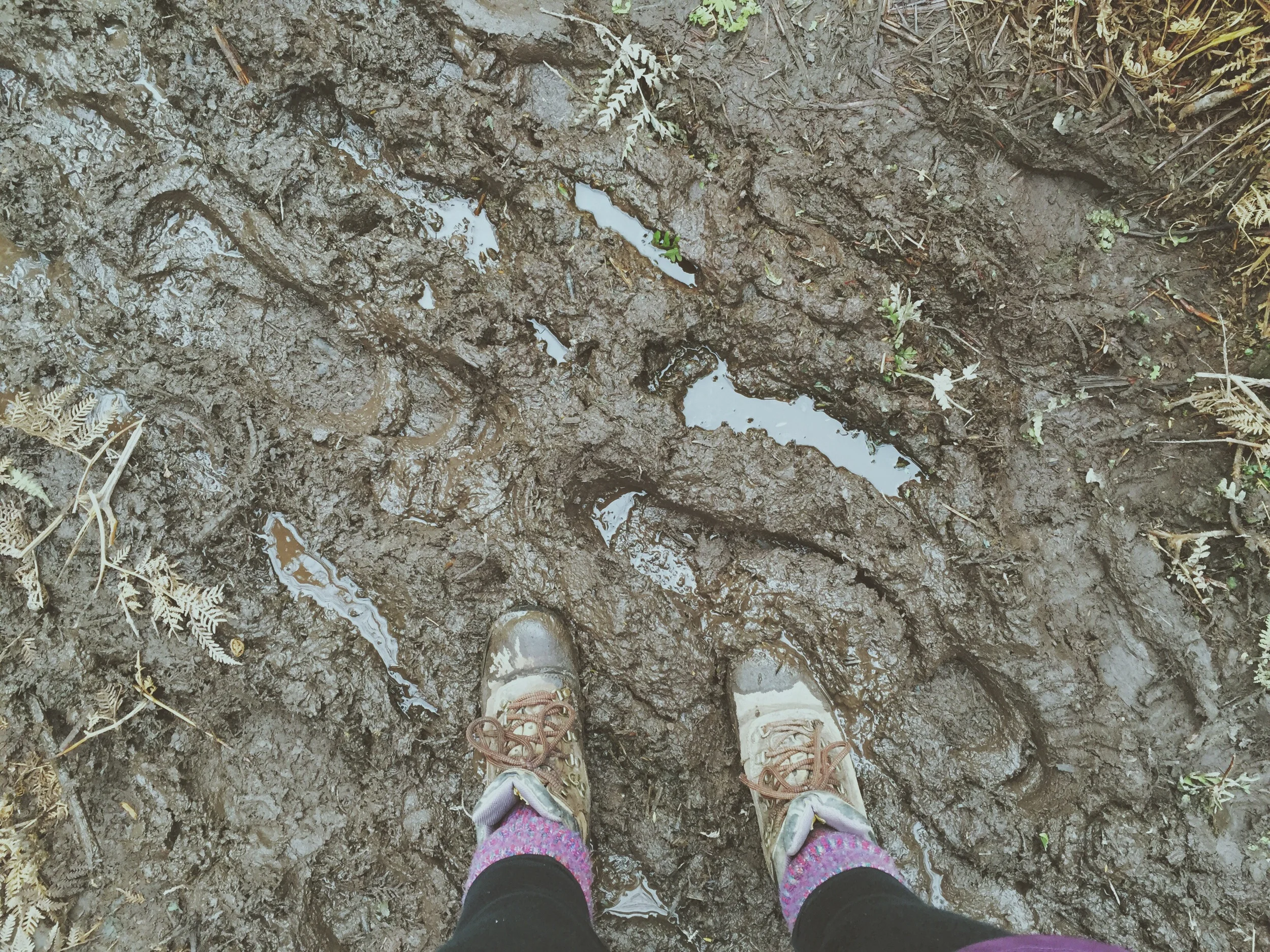 It was worse than it looks!