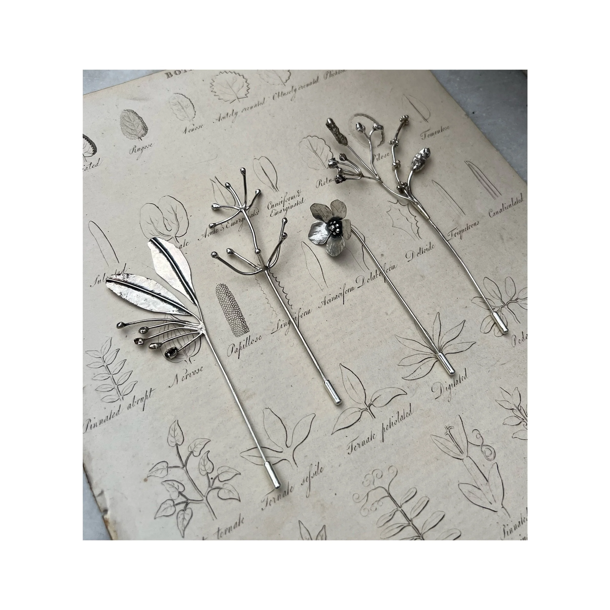 Whitagram-Image 20.JPG