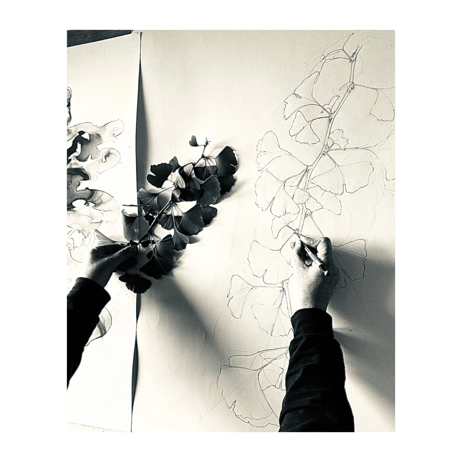 Whitagram-Image 35.JPG