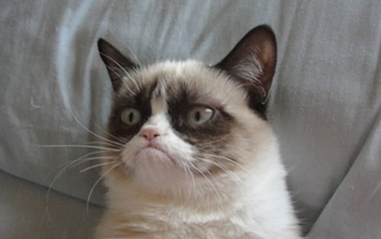 How I feel about being an adult.