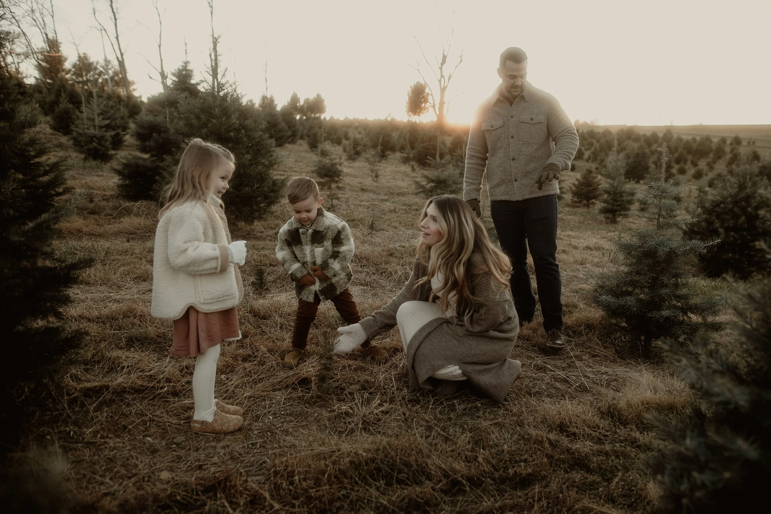 SUNDAY NOV 19TH-TREE FARM