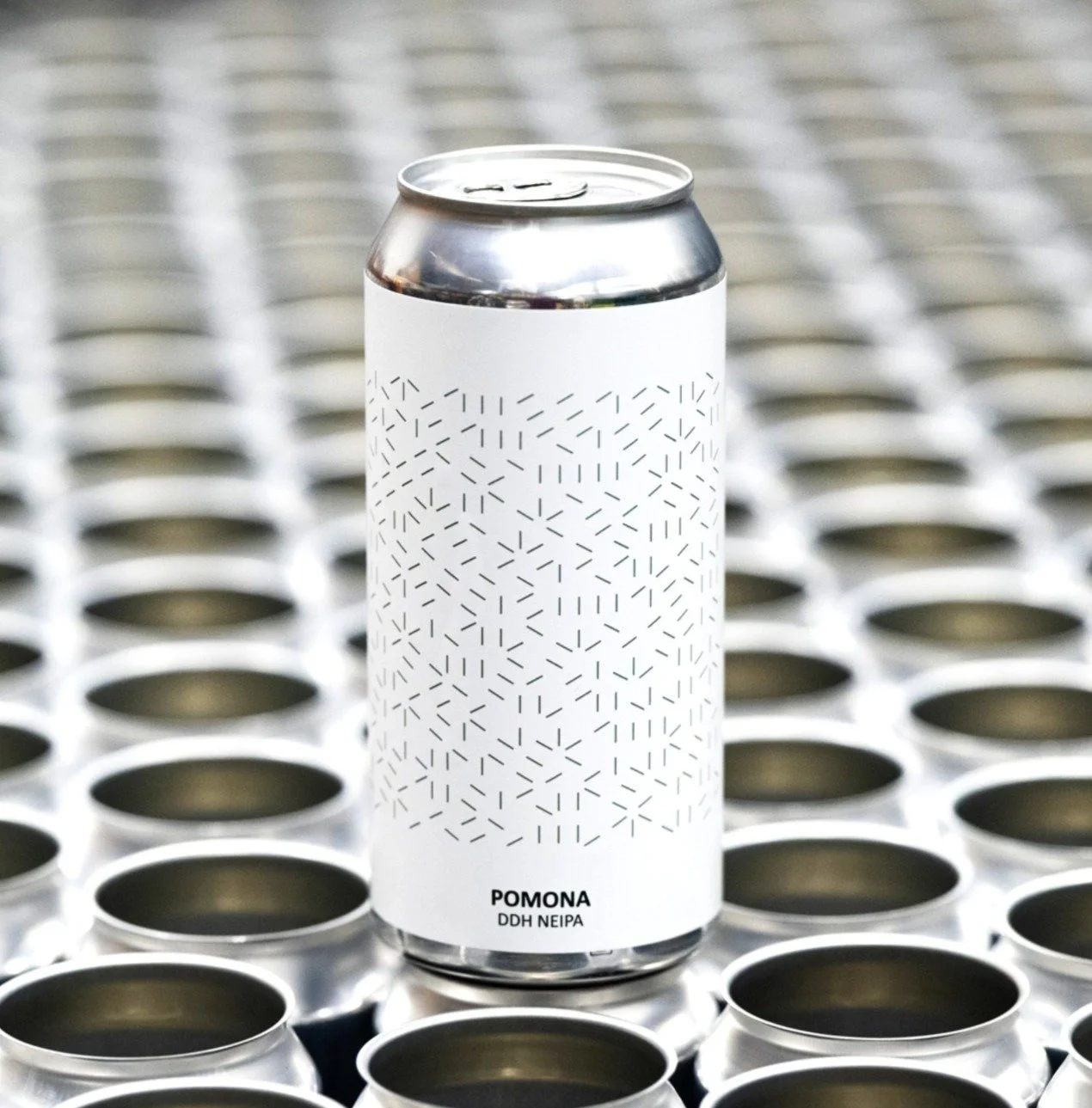 POMONA INSTA STU.JPG