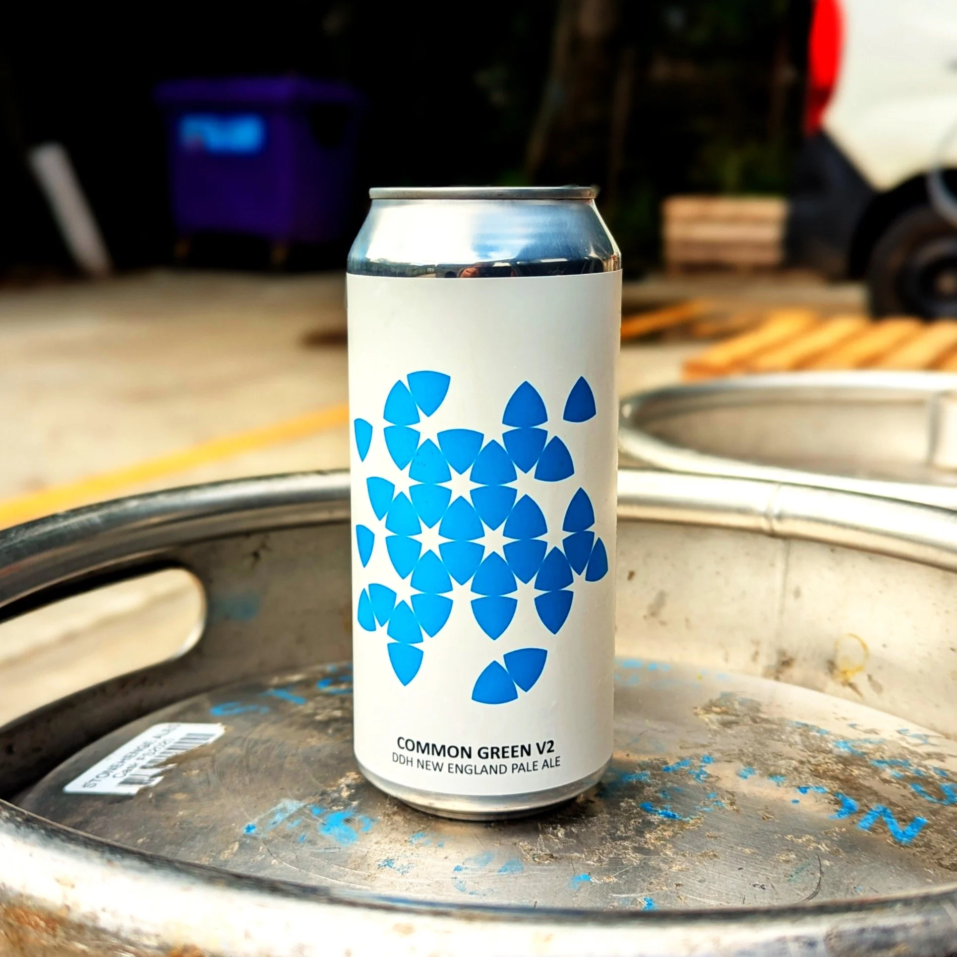 COMMON GREEN V2 EDITED Q.JPG