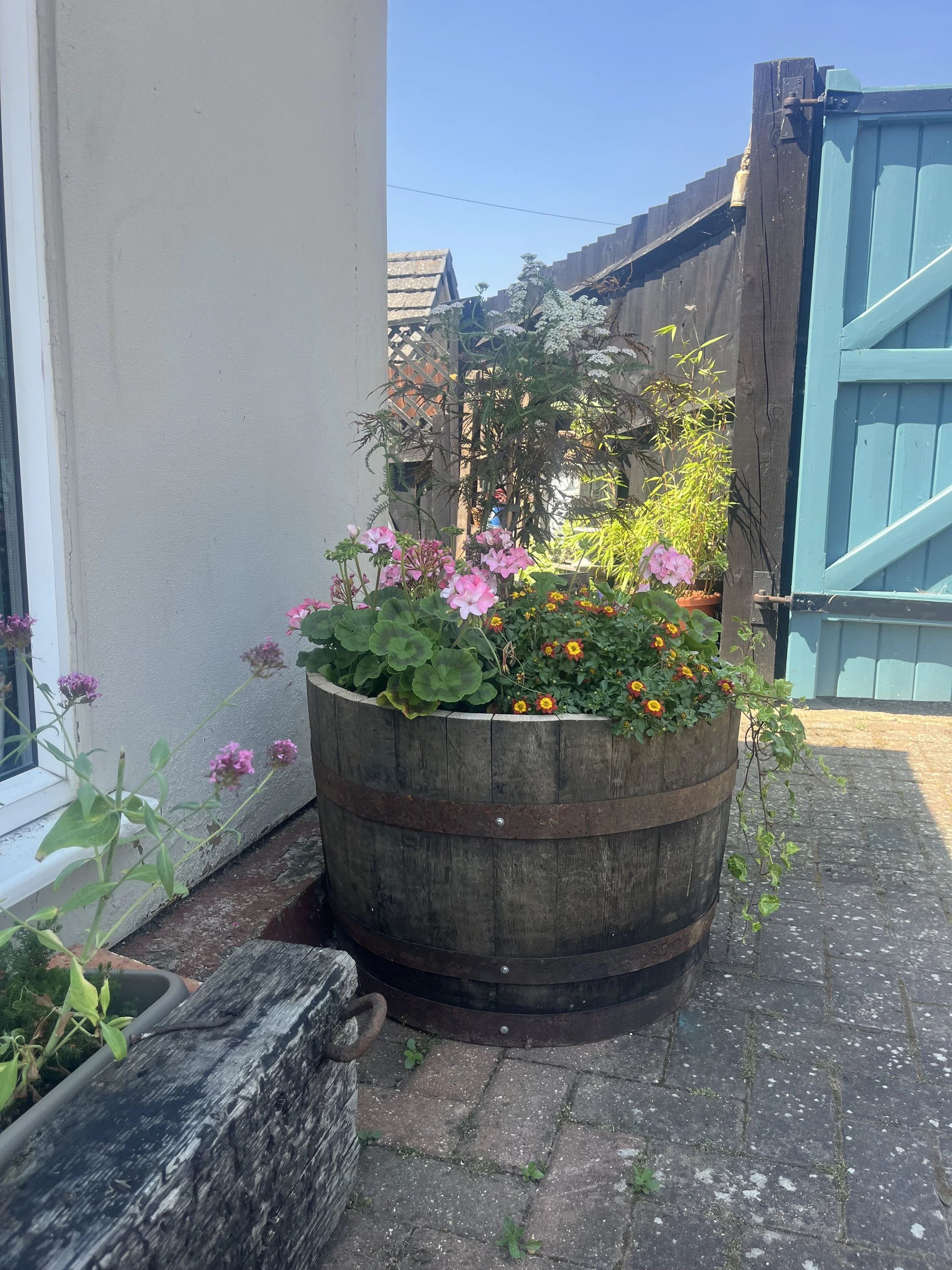 IMG_0101.jpeg