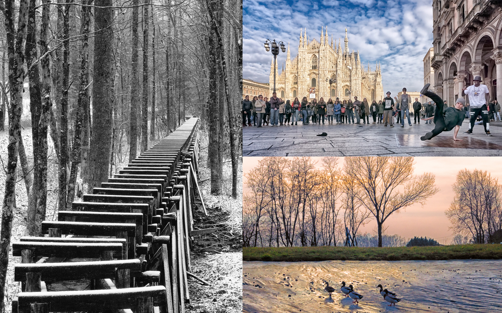 Follow the links below to see the before and after shots for each of these images.