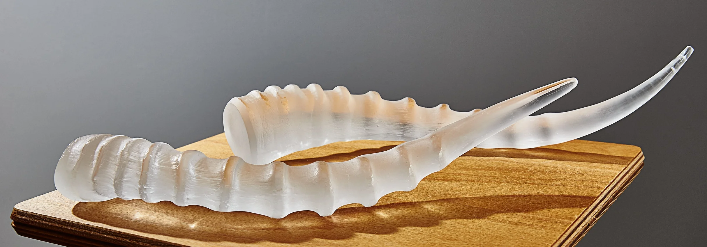 Maleficent Horns: Cast Glass 36x12cm