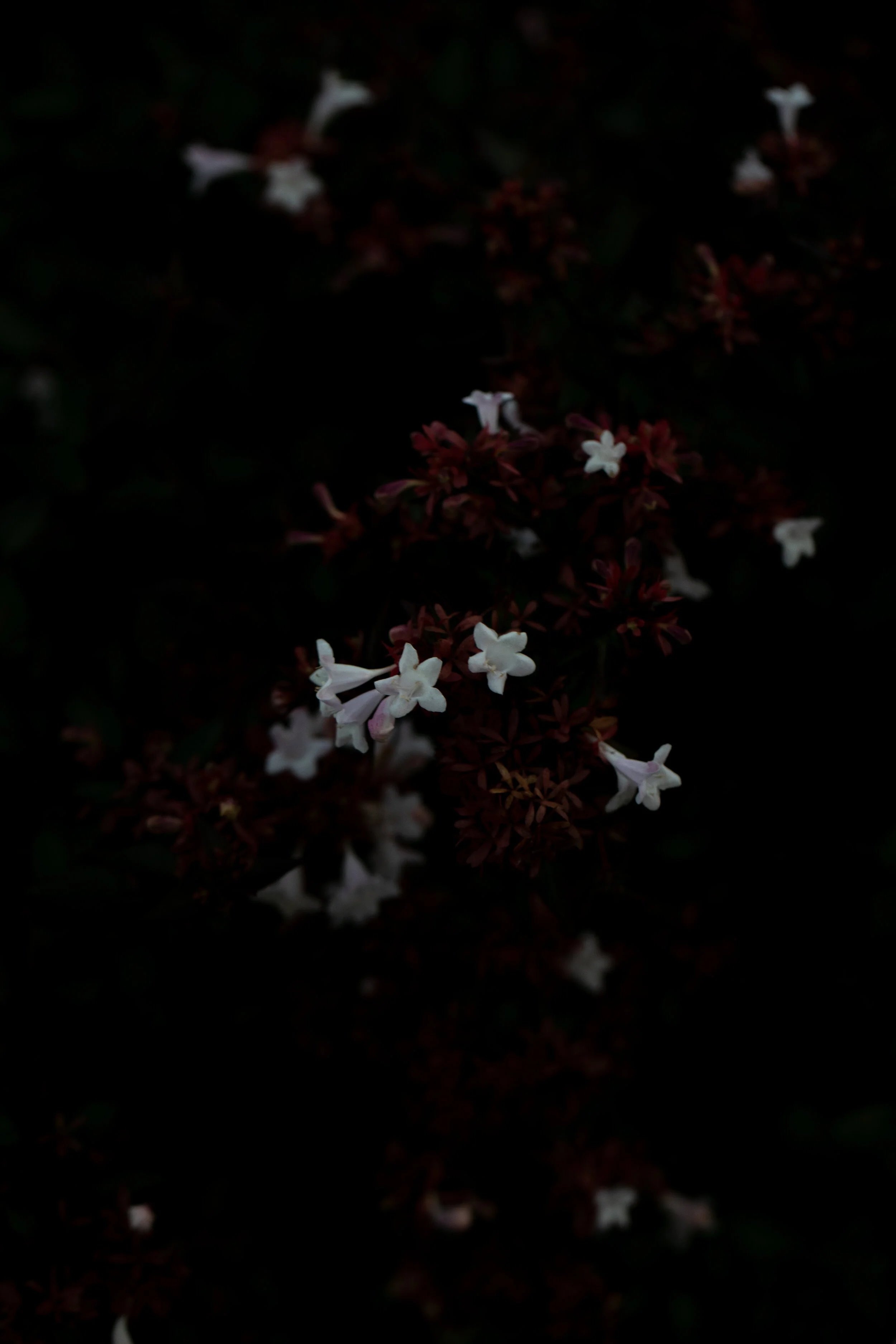 feb_edits-179.jpg