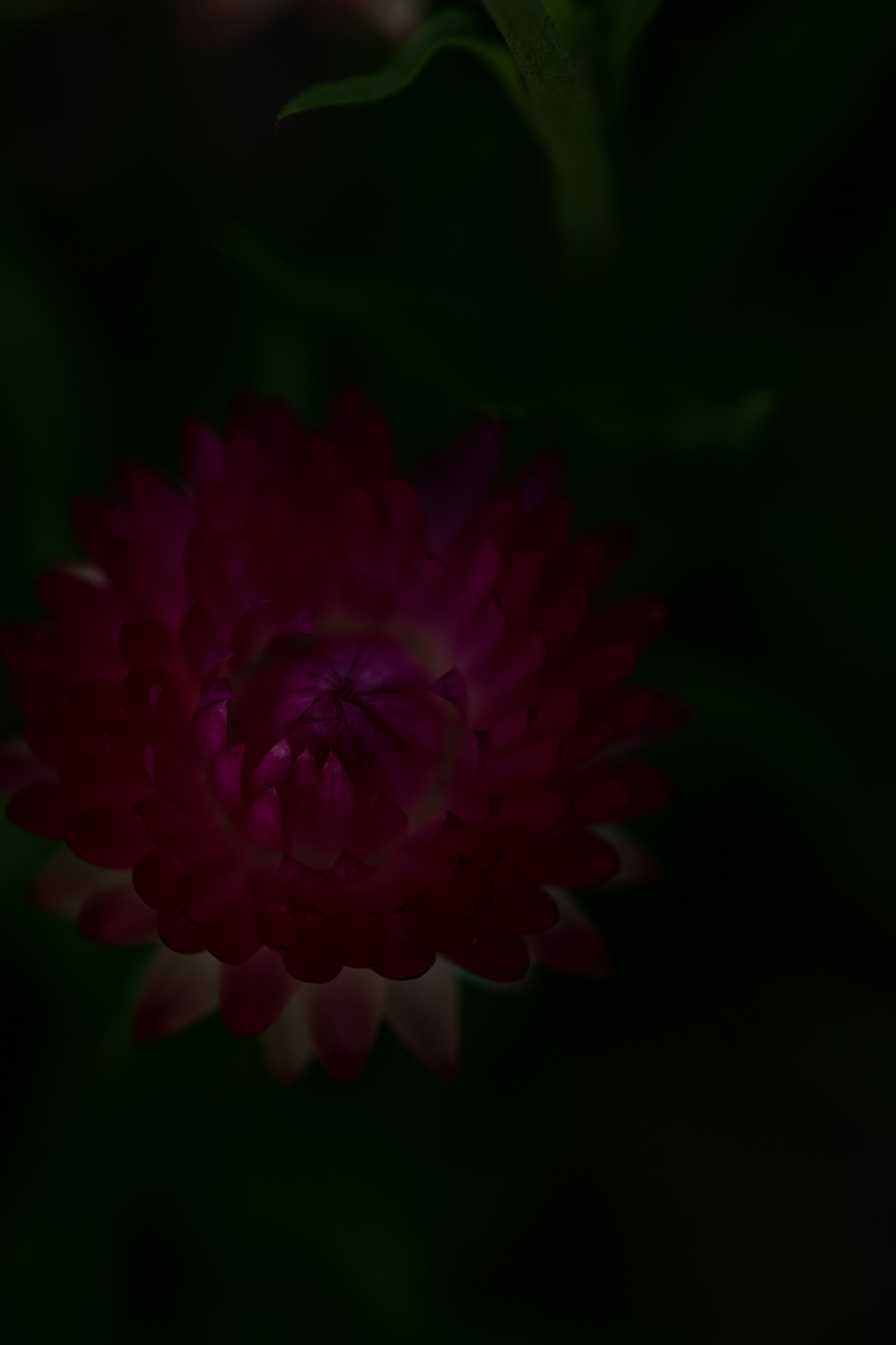 feb_edits-147.jpg