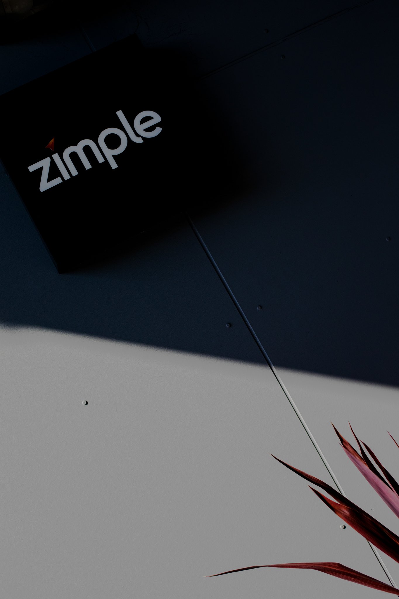 ZIMPLE_LR-15.jpg
