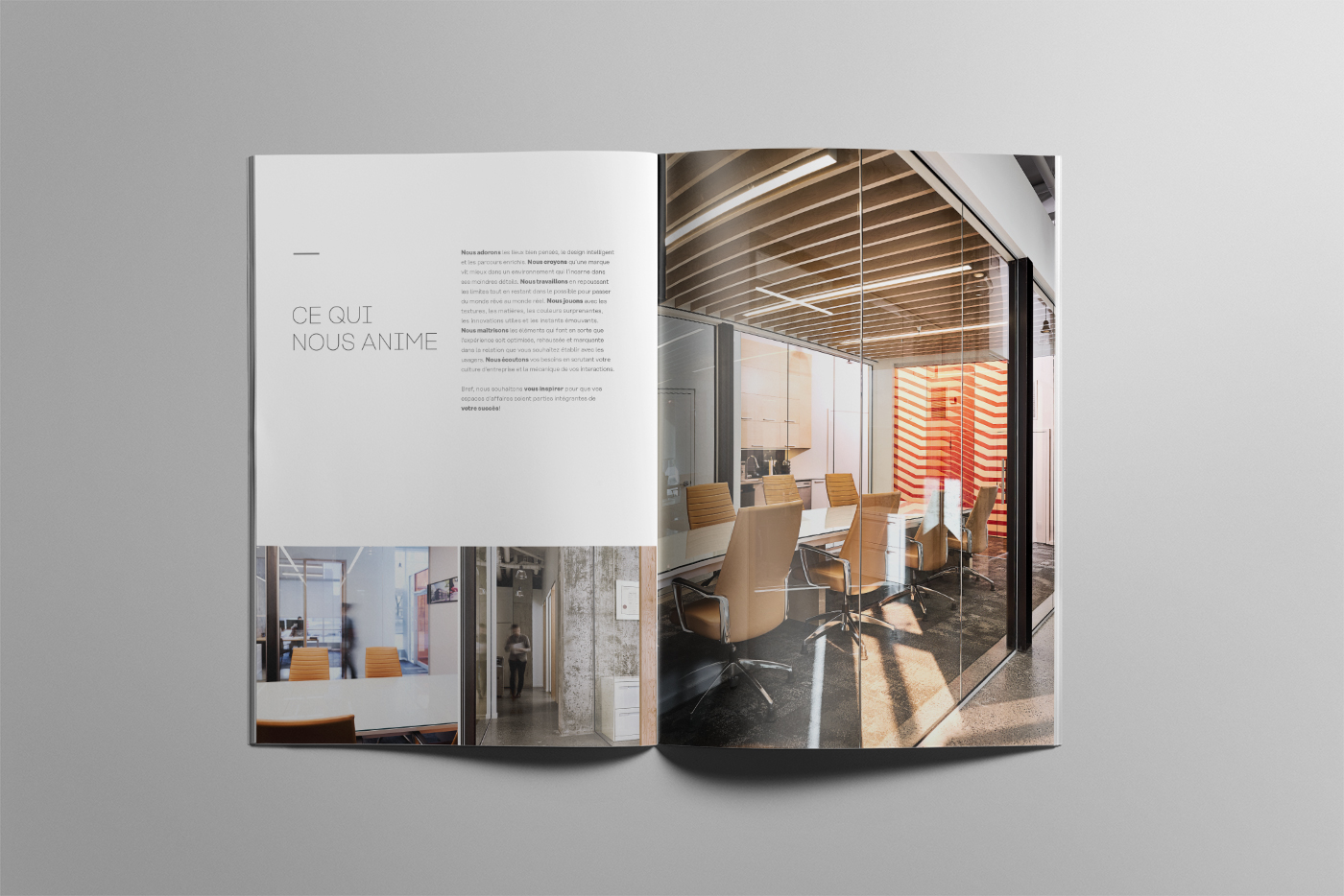 Grille de mise en page pour la brochure corporative Trafic