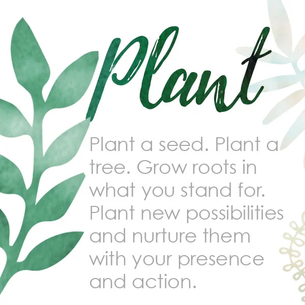 Plant.jpg