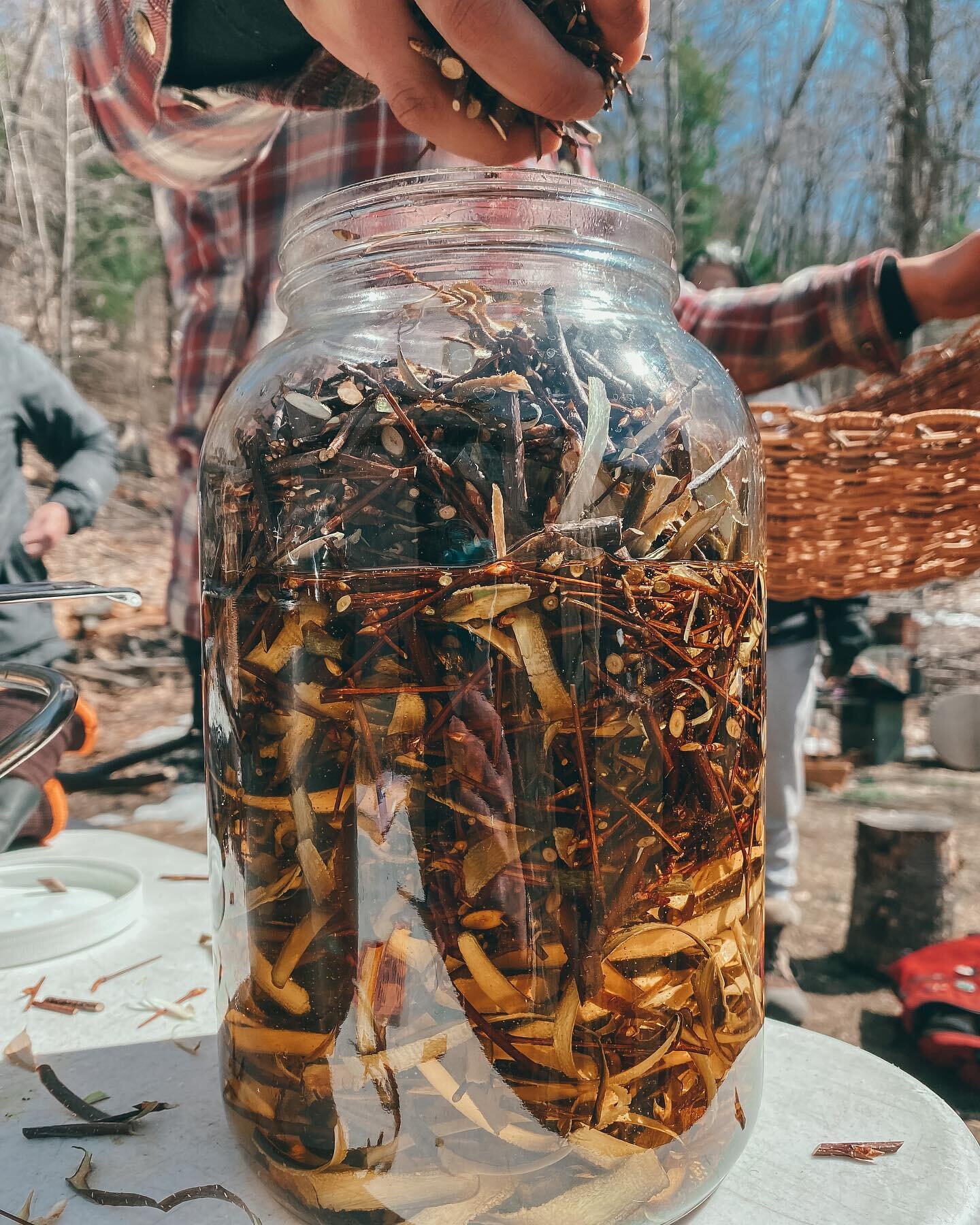 Herbal Apprenticeship days are the best days 🤗🌿

There is something so nourishing about a group of women working with plants... gathered around a fire and bubbling cauldron. It's almost as if we've been doing this for thousands of years 😏🧙&zwj;♀️