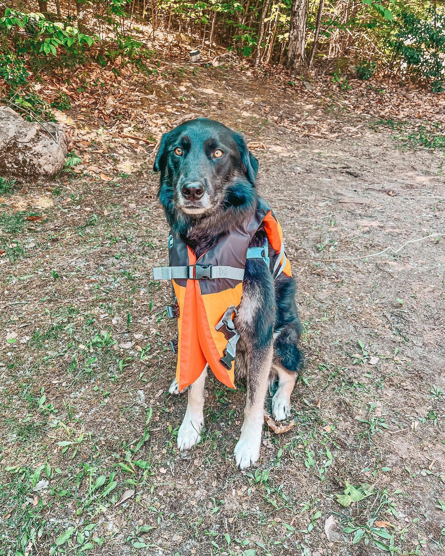 When your mom does communications for a river nonprofit and tomorrow is &ldquo;wear your life jacket to work day.&rdquo; Hot safety content dropping soon🦺🥹