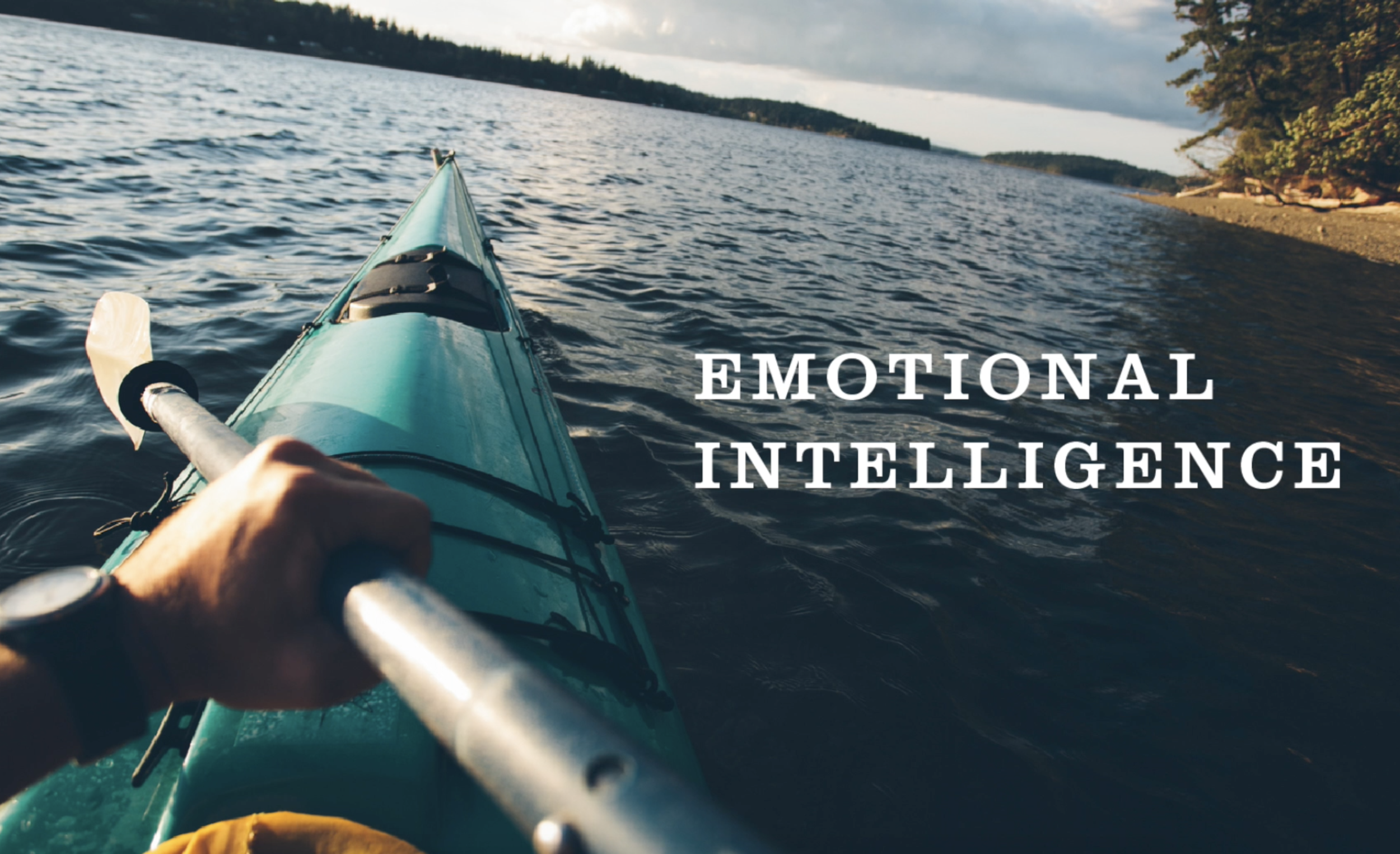 Emotional Intelligence Course Icon.png