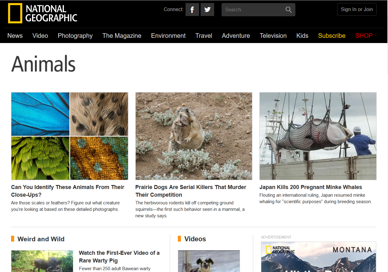 National Geographic Animals