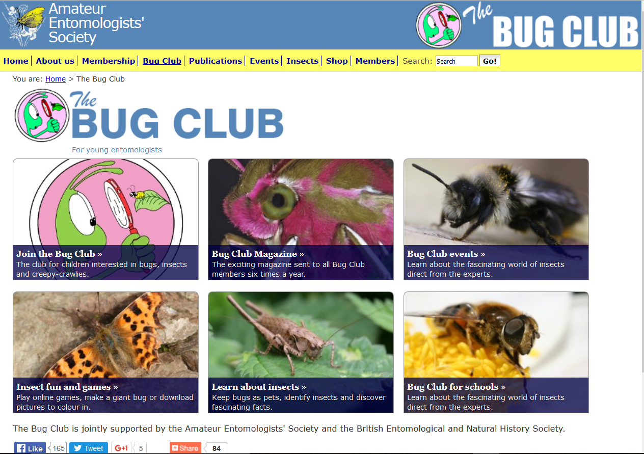 the Bug Club
