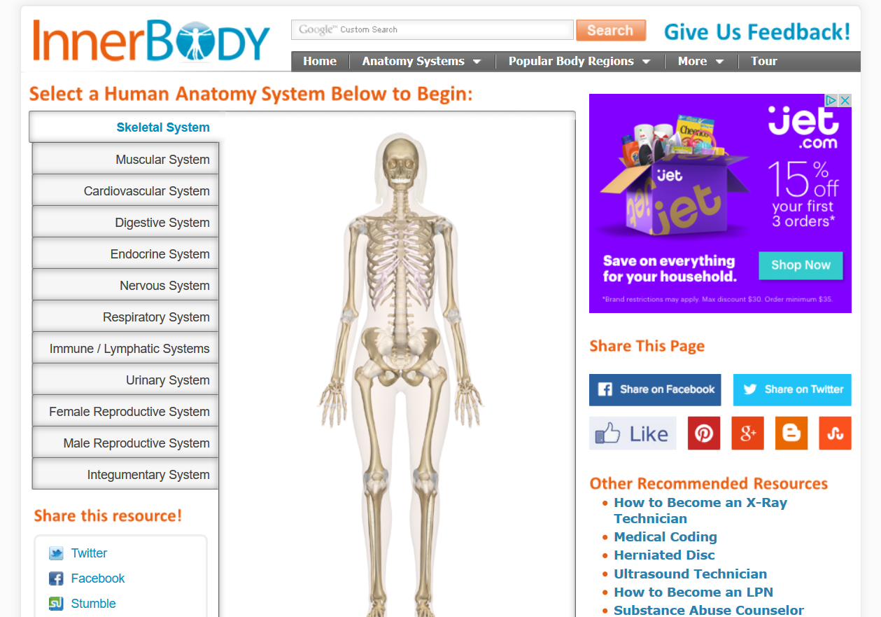 Inner Body