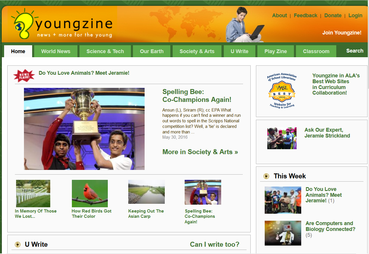 Youngzine