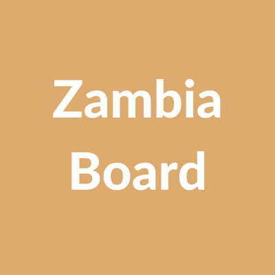  The  Zambia Board  is a Zambian-based board that offers guidance and assistance to further Lubuto’s activities and aims 