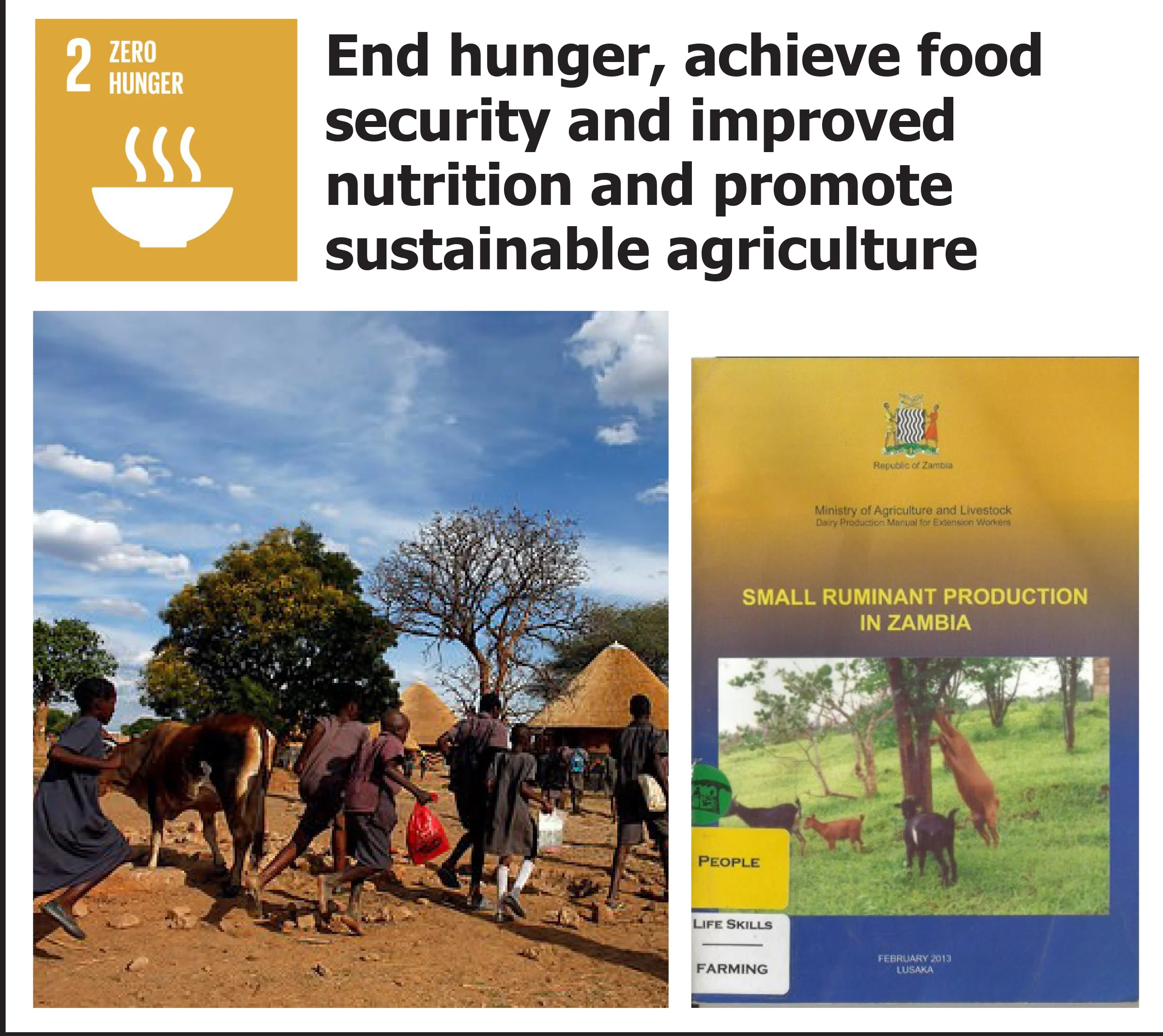 SDG 2