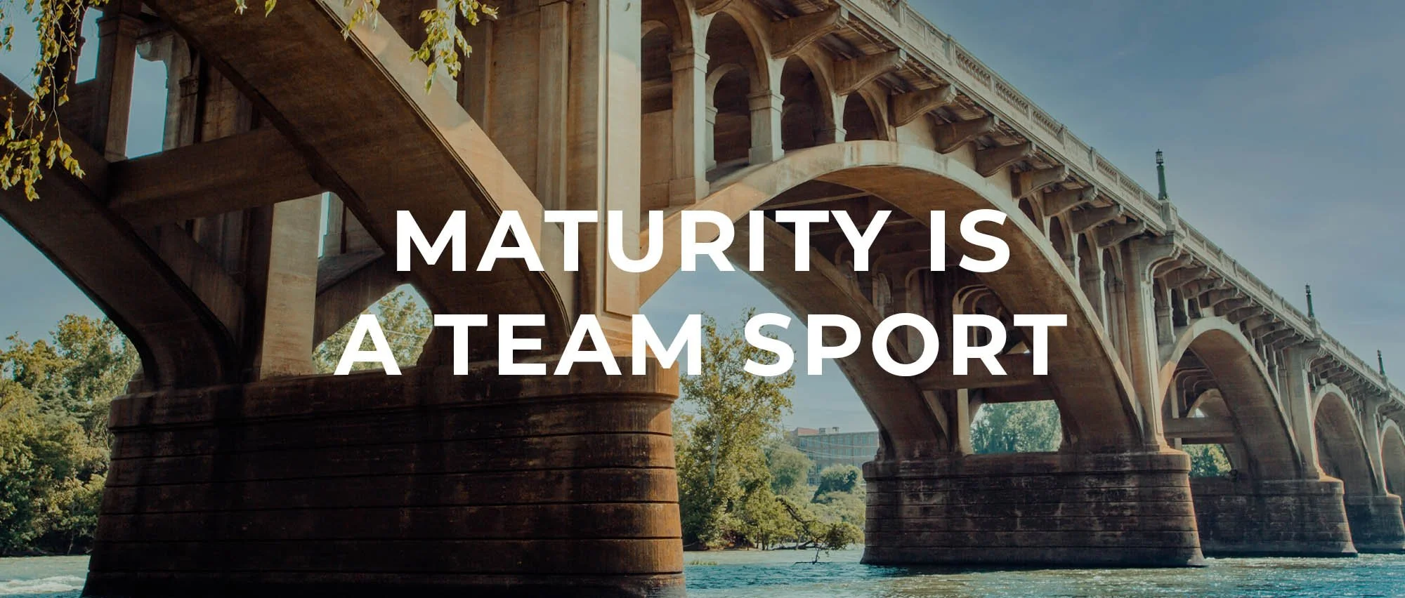 Maturity is a Team Sport.jpg