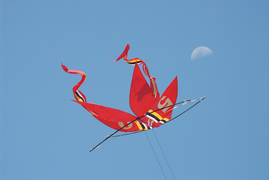 Bali Kite. Indonesia 2007 © Kalman N. Muller