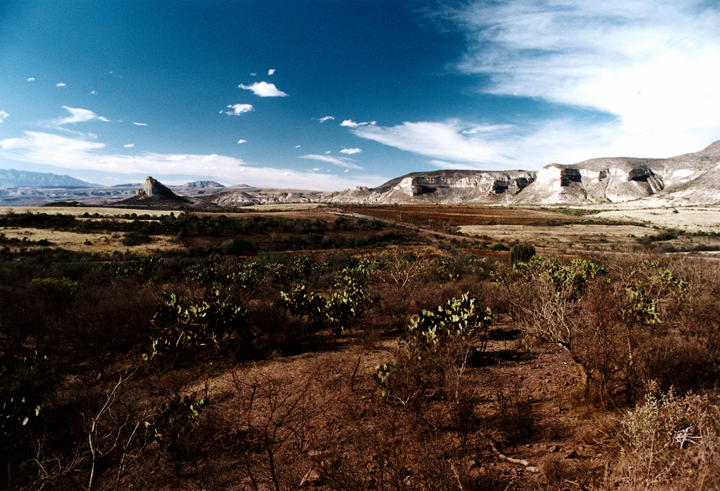 Huejuquilla Landscape. Huejuquilla Jalisco, Mexico 1999 © Kalman N. Muller