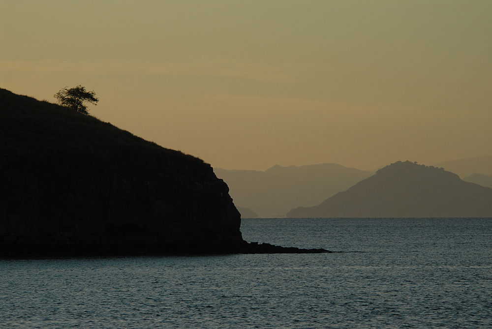 Komodo Island. Indonesia 2007 © Kalman N. Muller